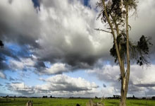 乐鱼app-Faker连续五场比赛得分超过反败为胜，RNG不断突破！上演精彩一战-乐鱼app